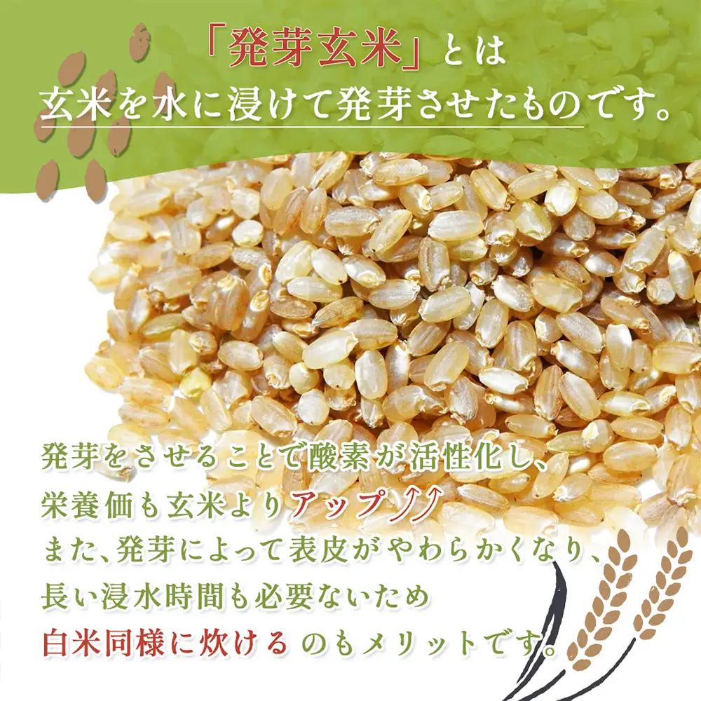 【スーパー玄米！発芽発酵玄米】合鴨農法ゆめぴりか 【有機肥料/無農薬・無化学肥料･備蓄用】令和7年度米 1.8kg(450g×4袋) 水田環境鑑定・米食味鑑定士鑑定米【Yesclean加工品部門認定品】【3110904】