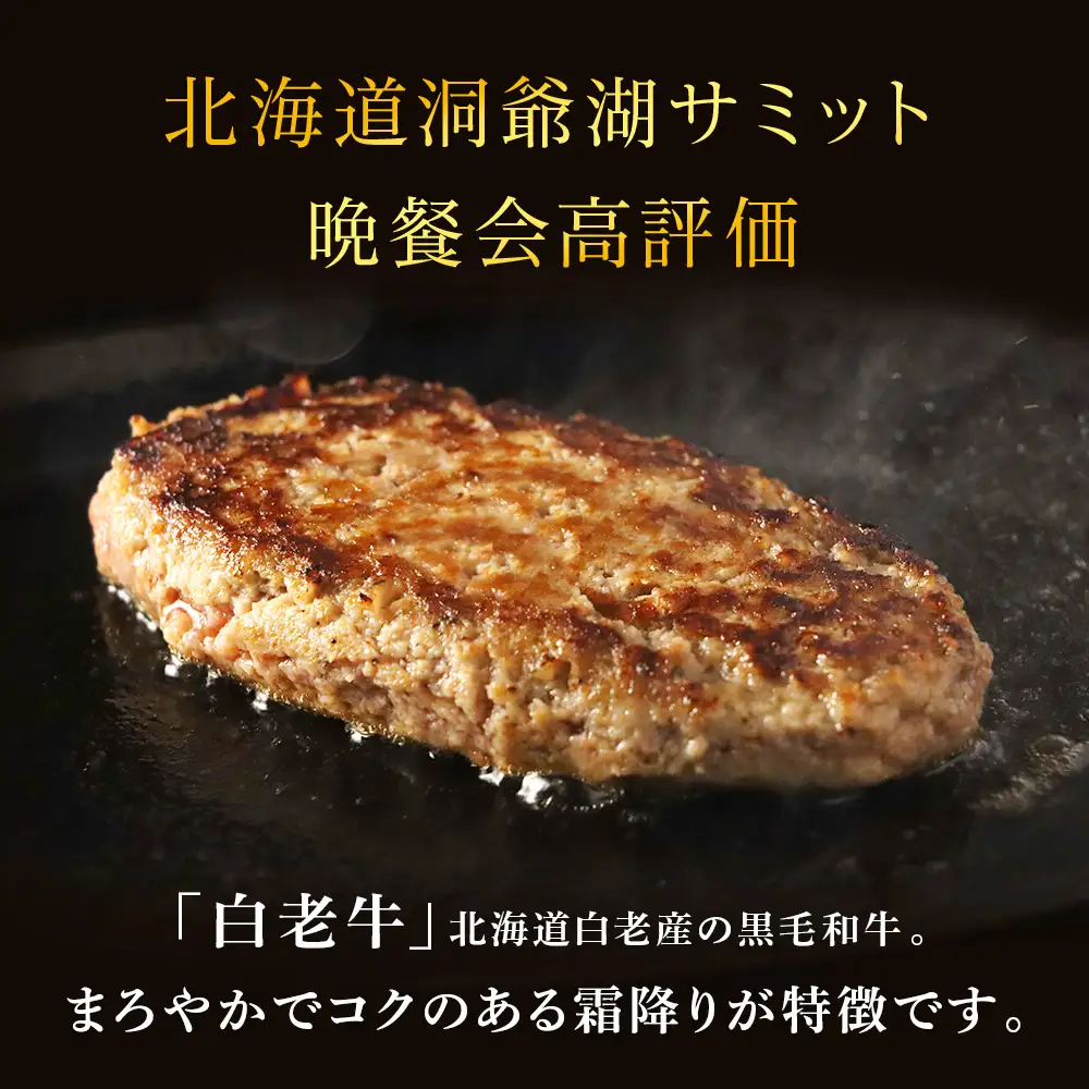 牛の里ビーフハンバーグ（110g×6個）特製ソース（6袋）の詰合せ AG106