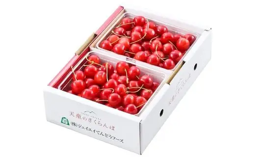 さくらんぼ ( 佐藤錦 ) 1kg さくらんぼ 08-01-029
