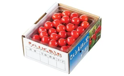 さくらんぼ ( 紅秀峰 ) 500g さくらんぼ 08-01-022