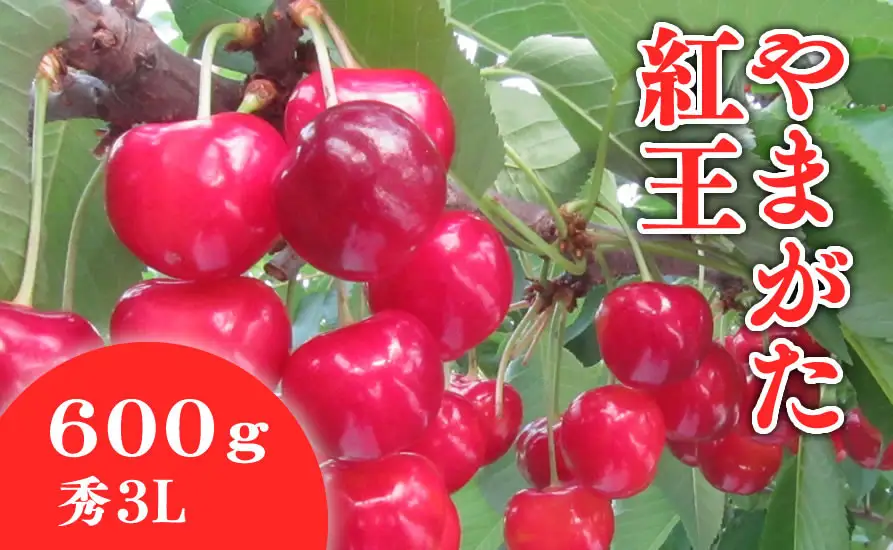 さくらんぼ ( やまがた紅王 ) 600g さくらんぼ 08-01-035