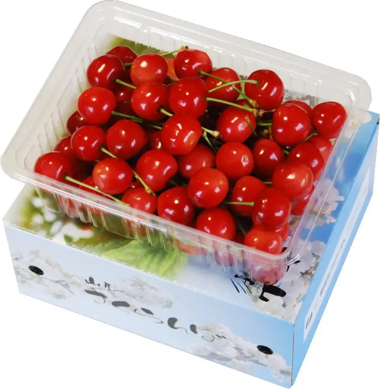 さくらんぼ 品種おまかせ 500g 山形 08-02-036