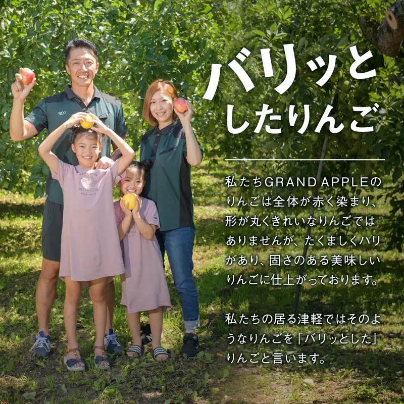 ≪先行予約≫葉とらず 紅玉 特A ご家庭用 約3kg 【グランドアップル】 青森りんご F41-0030