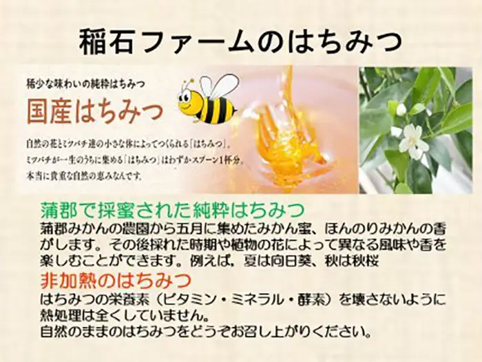 【数量限定】蒲郡みかんの蜂蜜_【G0147】