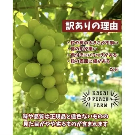 【2026年発送】訳あり シャインマスカット 2～3房 1kg以上【配送不可地域：離島】【1732300】