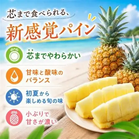 【2026年5月中旬から順次発送】今帰仁村パイン産地協議会 ポコットパイン2.4kg(3～5玉)【配送不可地域：離島】【1734538】