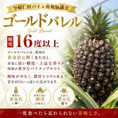 【2026年6月下旬から順次発送】今帰仁村パイン産地協議会 ゴールドバレル3.6kg(2～3玉)【配送不可地域：離島】【1734540】