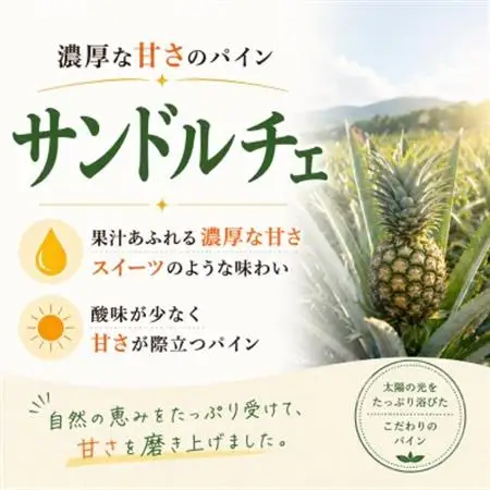 【2026年8月上旬から順次発送】今帰仁村パイン産地協議会 サンドルチェ2.0kg(2～3玉)【配送不可地域：離島】【1734541】