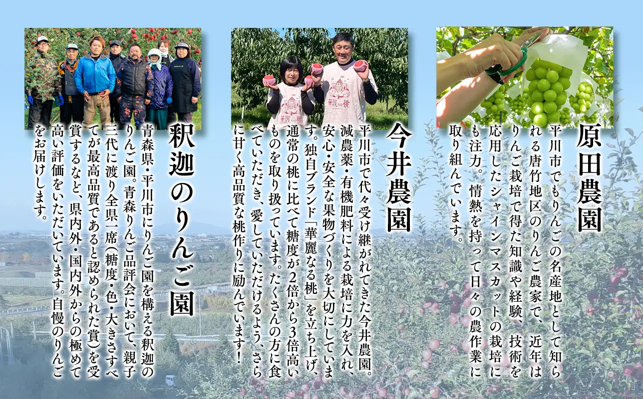 りんご食べ比べ3種入り！プレミアム定期便6回(桃・シャインマスカット・りんご3種)【hi-0999-014】