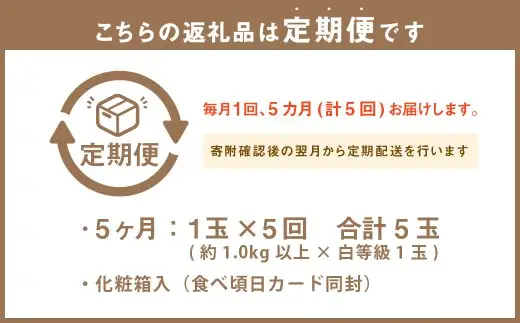 【 5ヶ月 定期便  】静岡県産 高級 アローマメロン 白等級 約1.0kg 以上 × 1玉 高級マスクメロン メロン めろん 高級ブランドメロン 高級メロン 果物 くだもの フルーツ 定期便 静岡県 菊川市