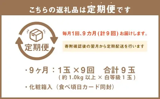 【 9ヶ月 定期便 】 静岡県産 高級 アローマメロン 白等級 約1.0kg 以上 × 1玉 マスクメロン メロン めろん 高級ブランドメロン 高級メロン 果物 くだもの フルーツ 定期便 静岡県 菊川市