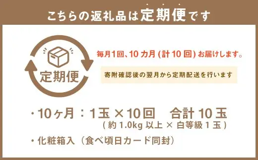 【 10ヶ月 定期便 】 静岡県産 高級 アローマメロン 白等級 約1.0kg 以上 × 1玉 マスクメロン メロン めろん 高級ブランドメロン 高級メロン 果物 くだもの フルーツ 定期便 静岡県 菊川市