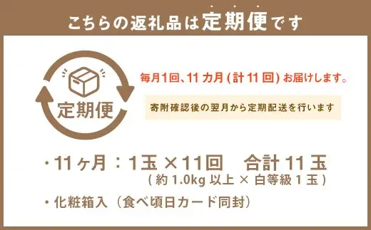 【 11ヶ月 定期便 】 静岡県産 高級 アローマメロン 白等級 約 1.0kg 以上 × 1玉 マスクメロン メロン めろん 高級ブランドメロン 高級メロン 果物 くだもの フルーツ 定期便 静岡県 菊川市