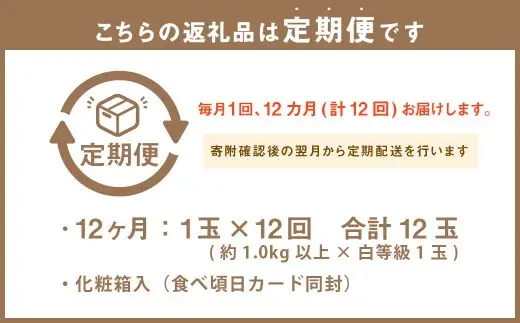 【 12ヶ月 定期便 】 静岡県産 高級 アローマメロン 白等級 約1.0kg以上×1玉 マスクメロン メロン めろん 高級ブランドメロン 高級メロン 果物 くだもの フルーツ 定期便 静岡県 菊川市