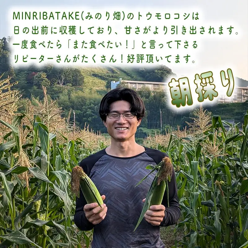 朝採り とうもろこし（味来）10本 【出荷：6月下旬】 トウモロコシ  野菜 旬の野菜 産地直送 産直 朝採り 朝採れ 鮮度抜群