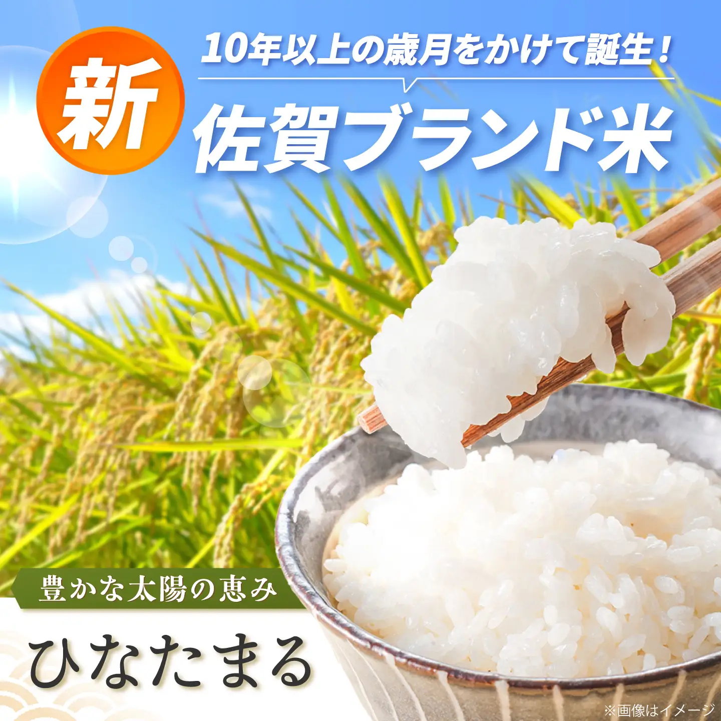 【令和7年産】ひなたまる 10kg（5kg×2）吉野ヶ里町 / 株式会社増田米穀[FBM047]
