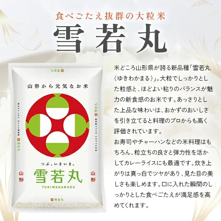 山形県産雪若丸5kg×2袋 計10kg（令和7年産米）5月下旬 [1556R07M05c