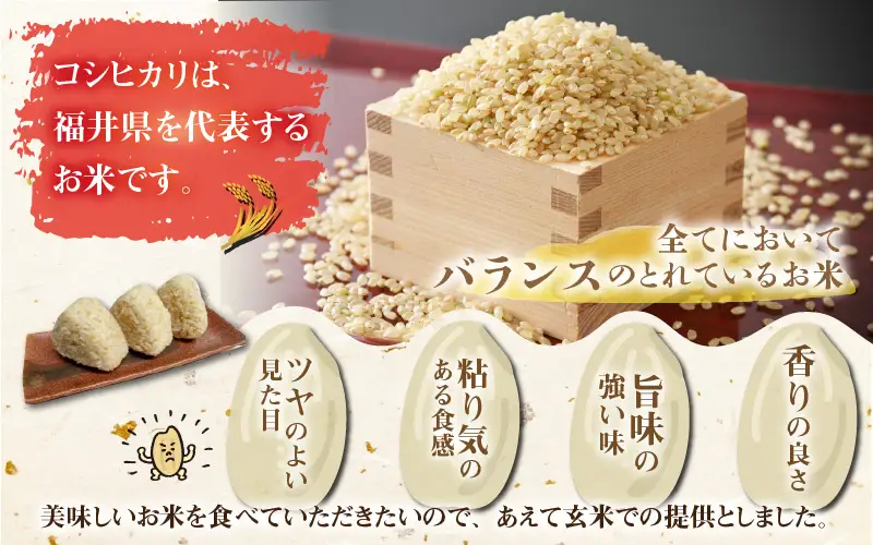 令和8年産 梅花藻が群生する清流で育てたコシヒカリ（玄米 5kg×1袋）※2026年9月下旬以降順次発送予定 [A-040028]