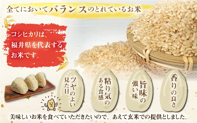 令和8年産 梅花藻が群生する清流で育てたコシヒカリ（玄米 10kg×1袋）※2026年9月下旬以降順次発送予定 [B-040029]
