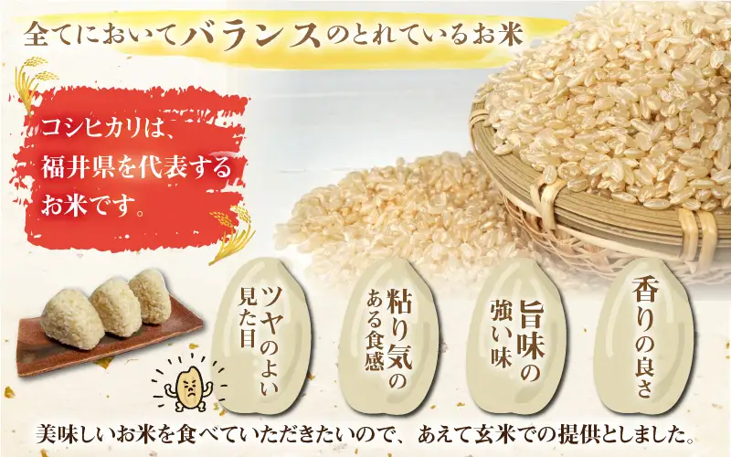 令和8年産 梅花藻が群生する清流で育てたコシヒカリ（玄米 10㎏）6か月定期便 計60kg ※2026年9月下旬以降順次発送予定[F-040006]