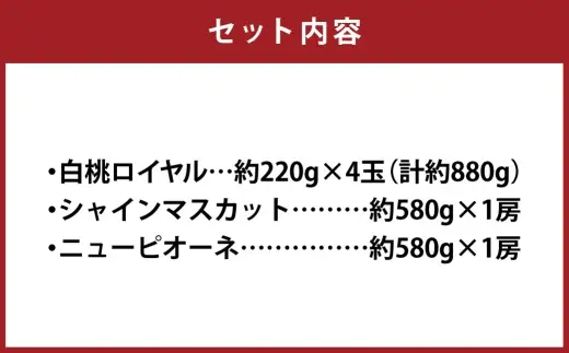 岡山白桃 ＆ 晴王 シャインマスカット ＆ ニューピオーネ セット大 桃 くだもの 果物 フルーツ 果実 もも モモ 白桃 葡萄 ブドウ マスカット ぶどう 【 2026年7月上旬～8月上旬発送予定 】