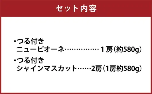 つる付き！ニューピオーネ ＆ 晴王 シャインマスカット Cセット ハウス栽培 ブドウ ぶどう 葡萄 果物 くだもの フルーツ 果実 マスカット 食べ比べ 【 2026年7月上旬～8月上旬発送予定 】