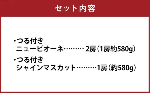 つる付き！ ニューピオーネ ＆ 晴王 シャインマスカット Bセット 露地栽培 ブドウ ぶどう 葡萄 果物 くだもの フルーツ 果実 マスカット【 2026年9月上旬～10月下旬発送予定 】