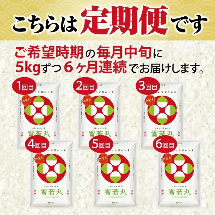 【定期便】山形県産無洗米雪若丸 5kg×6ヶ月連続中旬発送 計30kg(6月～11月) [1542T06]