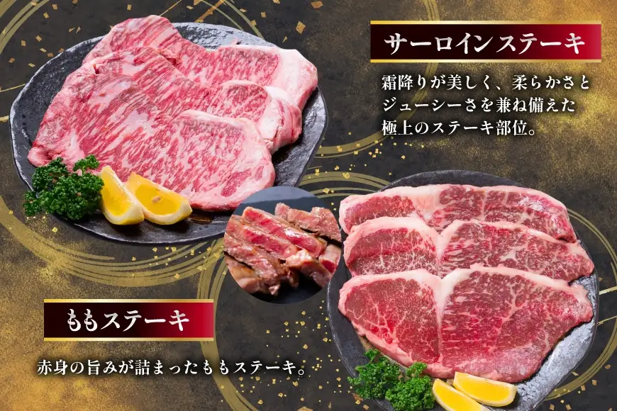 AJ671 【12回定期便】 長崎和牛 プレミアムコース 