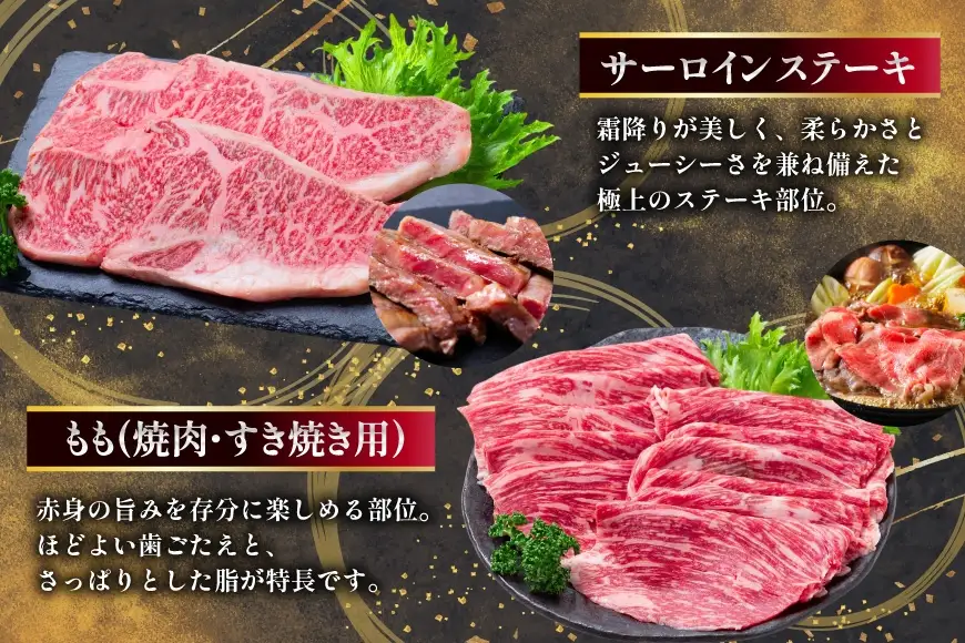 AJ669 【6回定期便】長崎和牛 トライアルコース 