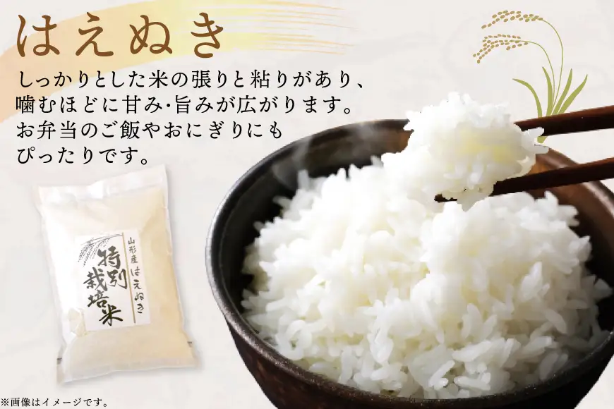 米 定期便 9回 令和8年産 特別栽培米 はえぬき 10kg 9回 計90kg [渡部ファーム 山形県 高畠町 tk06ays810050]