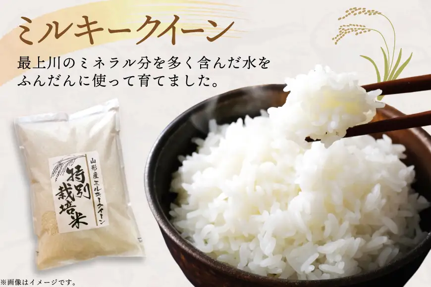 米 定期便 9回 令和8年産 特別栽培米 ミルキークイーン 5kg 9回 計45kg [渡部ファーム 山形県 高畠町 tk06ays810056]