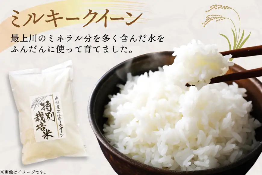 米 定期便 9回 令和8年産 特別栽培米 ミルキークイーン 10kg 9回 計90kg [渡部ファーム 山形県 高畠町 tk06ays810057]