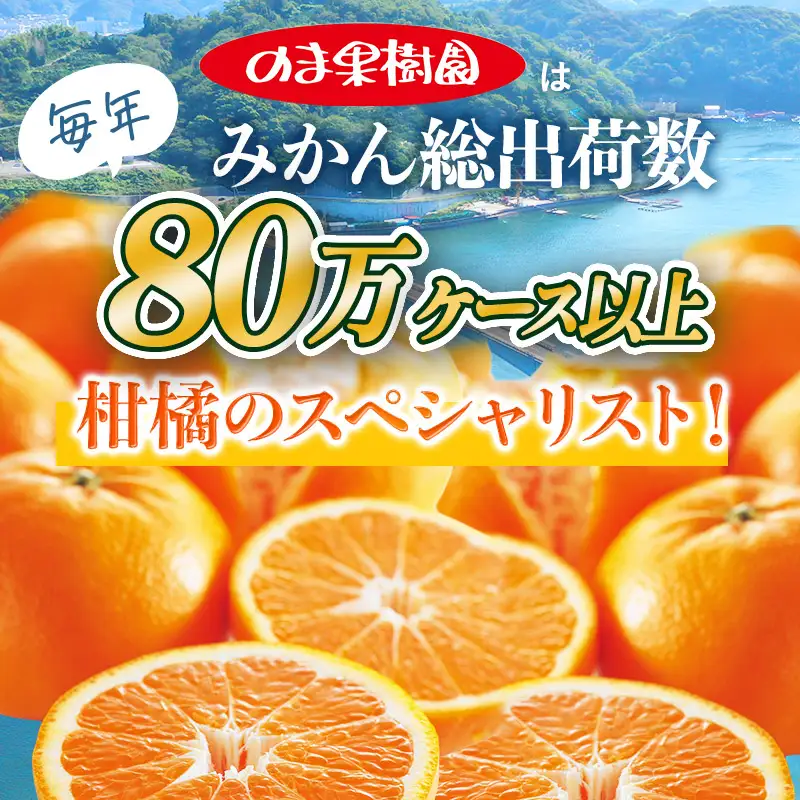 【先行予約】はれひめ（2kg）