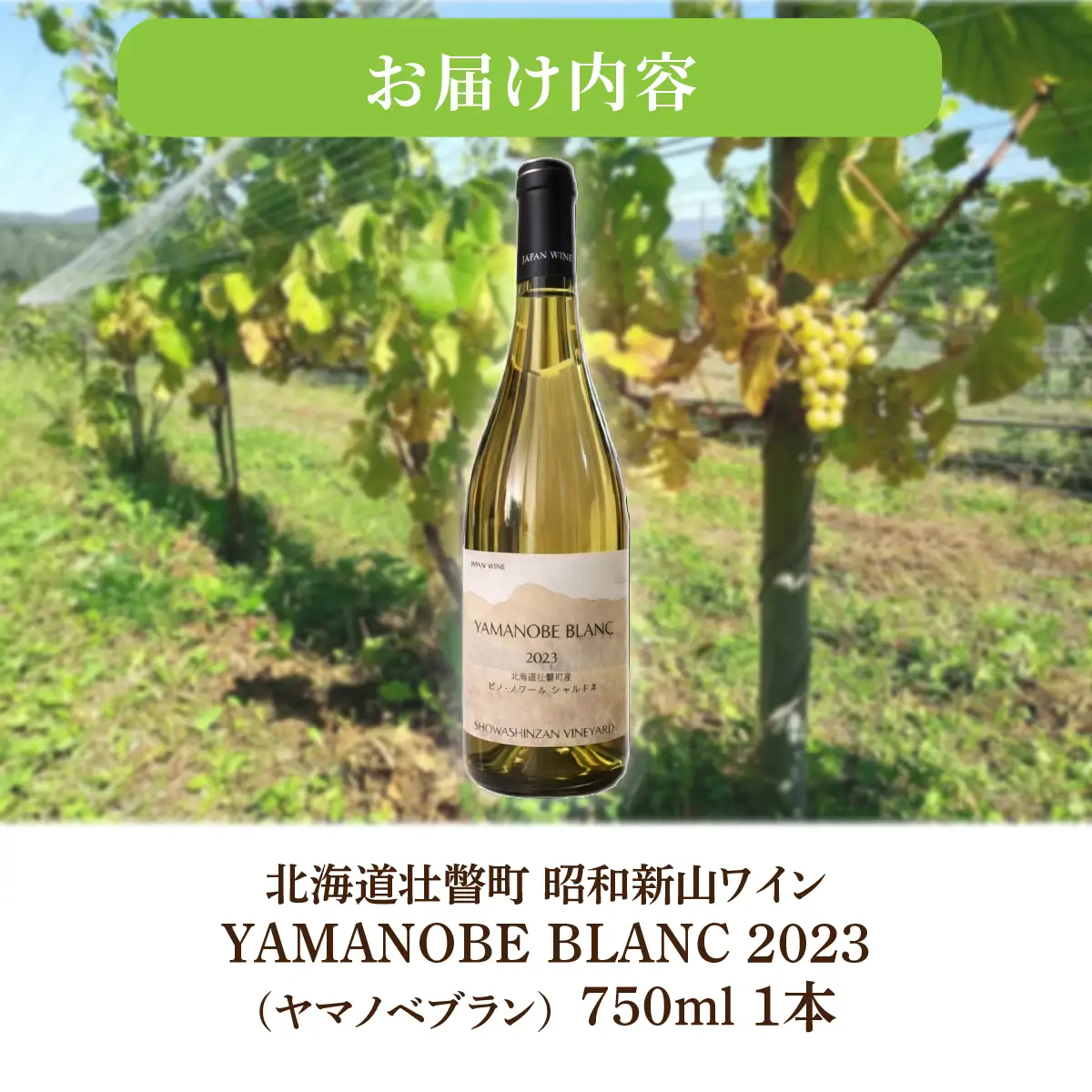 昭和新山ワイン YAMANOBE BLANC 2023(ヤマノベブラン）白ワイン 辛口 750ml 1本 SBTQ012