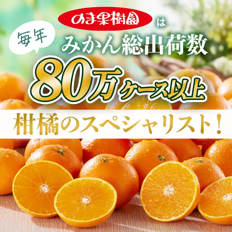 【先行予約】媛まどんな（2kg） 