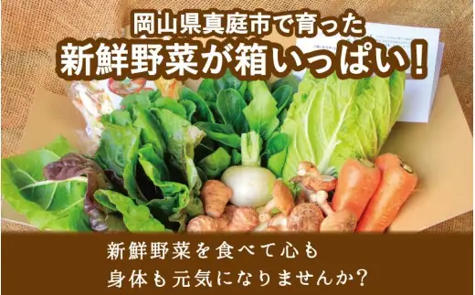 まにわの野菜 真庭あぐり野菜セット 7～8品 カット野菜入り / 詰め合わせ 産地直送 お試し 岡山県 新鮮 あぐりガーデン 国産 【配送不可：北海道／沖縄県／離島】  【jujy046-01】