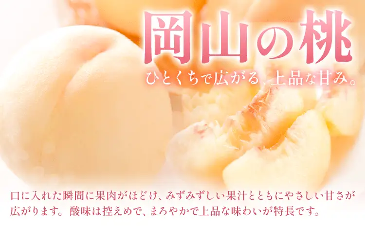 【定期便】旬のフルーツ定期便 岡山のﾌﾙｰﾂ 定期便 Aコース 2回定期便 岡山県産 桃 シャインマスカット ニューピオーネ 梨 《7月上旬-10月末頃出荷》岡山県 笠岡市 フルーツ 旬 果物 ぶどう 梨 マスカット お取り寄せ