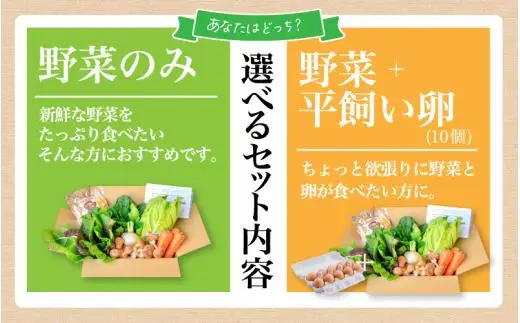まにわの野菜 真庭あぐり野菜セット 10～11品 カット野菜入り 平飼い卵付き  / 詰め合わせ 産地直送 岡山県 真庭市 新鮮 あぐりガーデン 産直工房 国産【配送不可地域：北海道／沖縄県／離島】【jujy055-01】