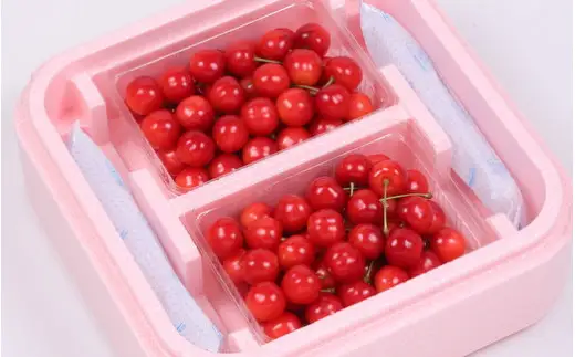 さくらんぼ 特秀：佐藤錦 1kg 山形 佐藤錦 08-03-033