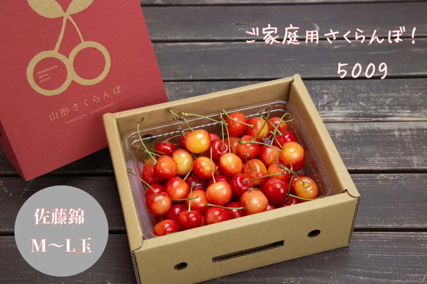 ご家庭用 さくらんぼ 佐藤錦 500g 山形 08-06-043