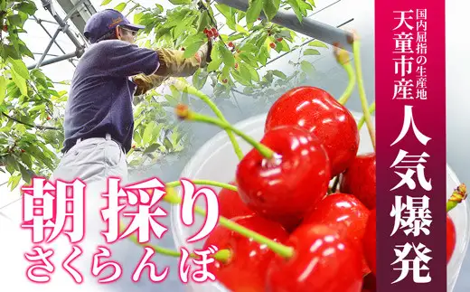 さくらんぼ 紅秀峰 秀 L玉以上 1kg入り バラ詰め 08-10-030