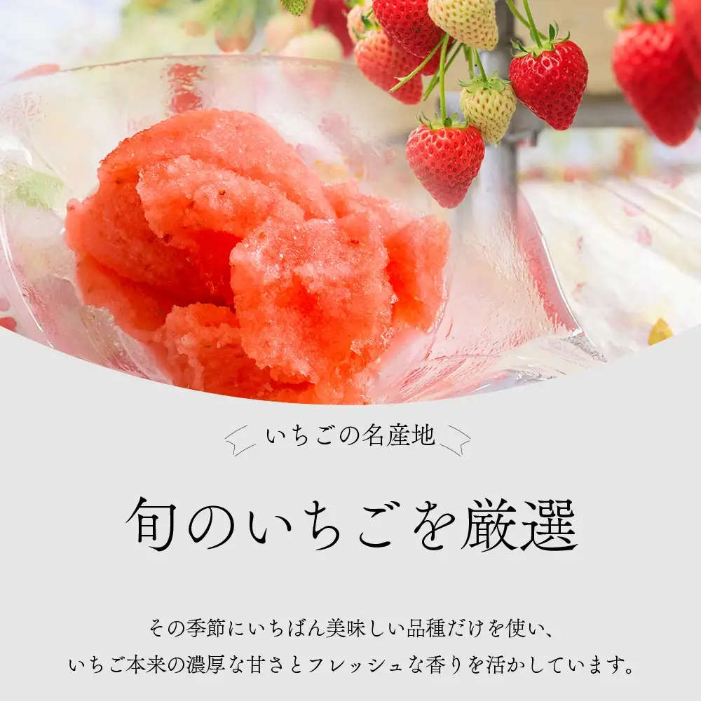 レストラン綺羅々亭特製 いちごシャーベットと2種アイスの詰め合わせ(各2個)[59-1614]