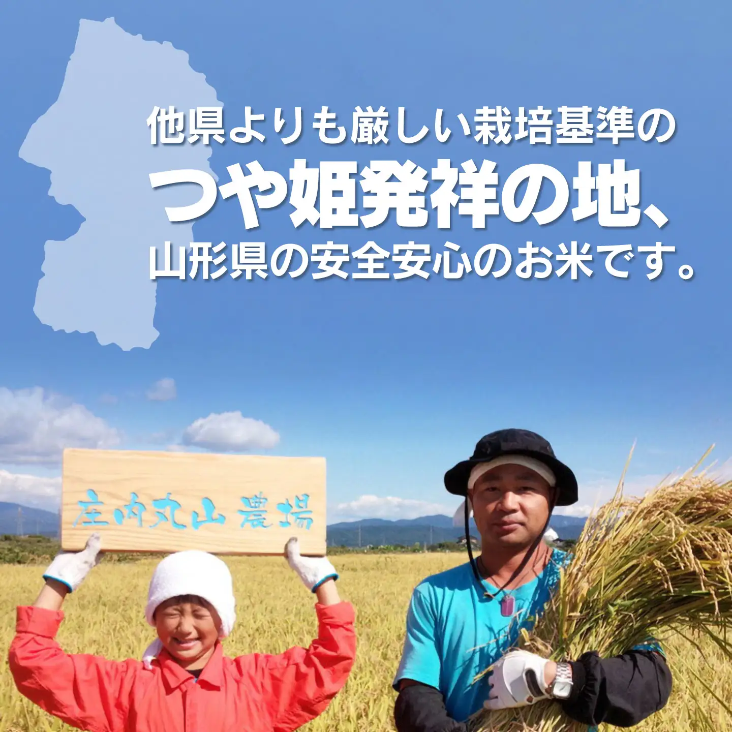 【令和7年産】特別栽培米つや姫 精米 10kg (10kg×1袋)　山形県鶴岡市　庄内丸山農場　| つやひめ 10キロ 米どころ 庄内米 ブランド米 米 コメ こめ 精米 ご飯 ごはん 美味しい お取り寄せ 農家直送 東北 国産 おすすめ 人気 返礼品