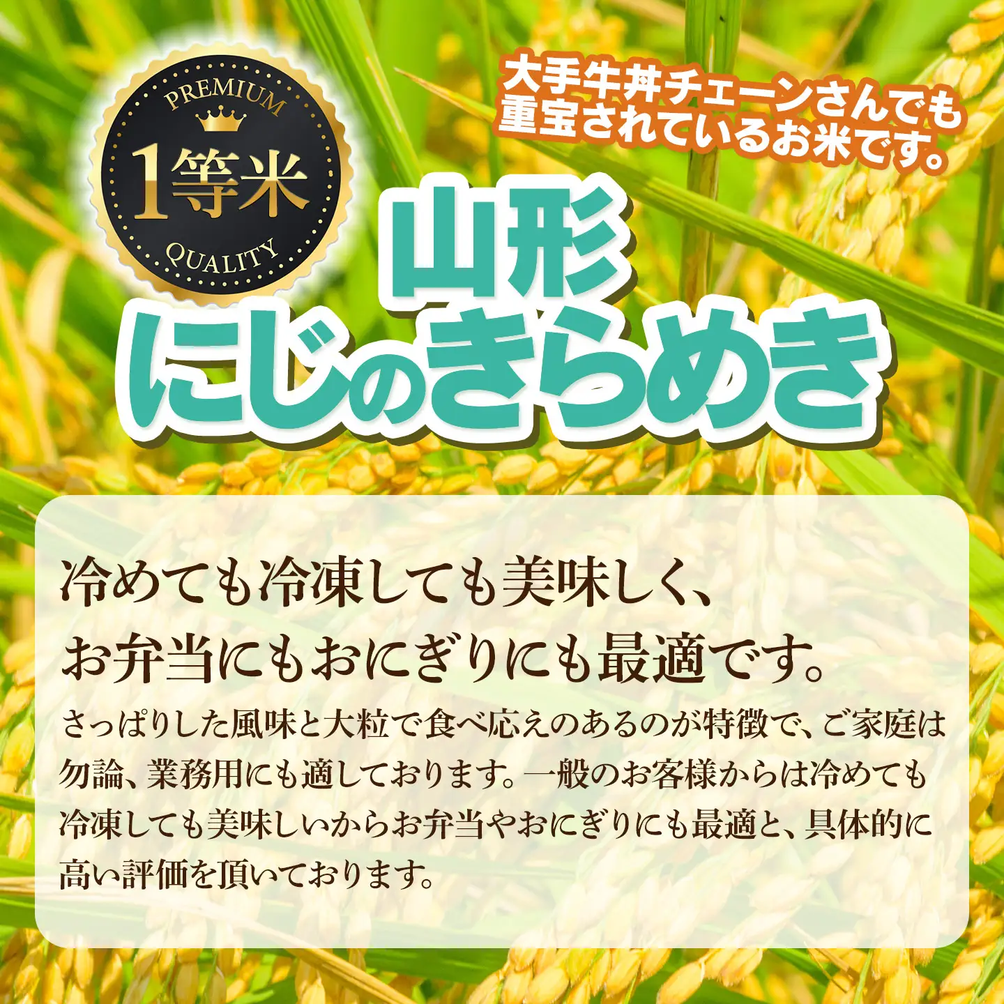【令和7年産】にじのきらめき 精米 10kg (10kg×1袋)　山形県鶴岡市　庄内丸山農場　| 10キロ 米どころ 庄内米 ブランド米 米 コメ こめ 精米 ご飯 ごはん 美味しい 大粒 お取り寄せ 農家直送 お弁当 おにぎり 東北 国産 おすすめ 人気 返礼品