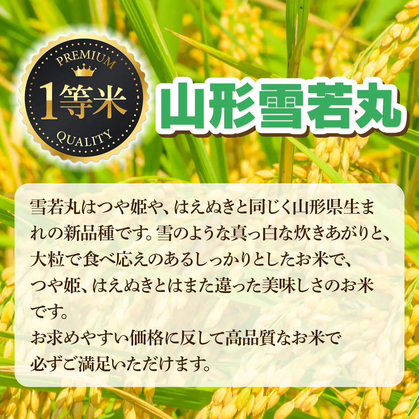 【令和7年産】雪若丸 精米 10kg (10kg×1袋)　山形県鶴岡市　庄内丸山農場　| ゆきわかまる ゆきわか 10キロ 米どころ 庄内米 ブランド米 米 コメ こめ 精米 ご飯 ごはん 美味しい お取り寄せ 農家直送 お弁当 おにぎり 東北 国産 おすすめ 人気 返礼品