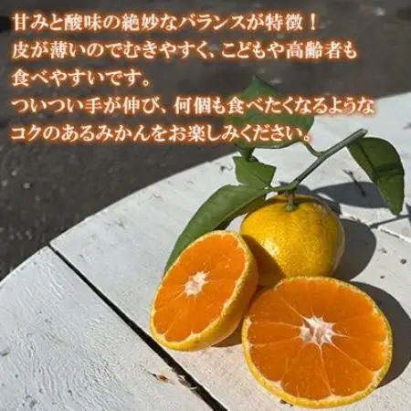 温州みかん約7キロ【1727488】