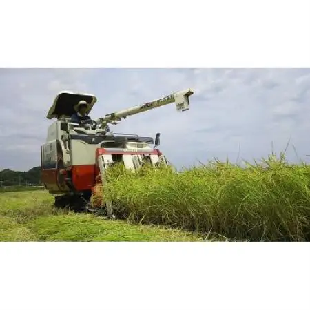 千葉県館山産ふさおとめ　精米　4.5kg【1735244】