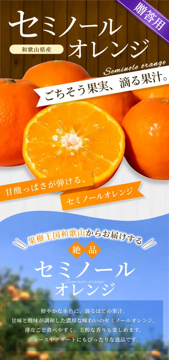 みかん【贈答用】 セミノールオレンジ 約5kg 【2026年4月中旬～5月下旬頃に順次発送】【BV-mrmt100】