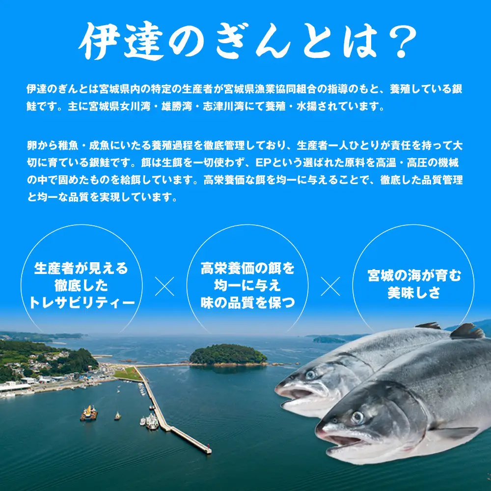 伊達の銀鮭モンゴル岩塩漬け 30切入（2切×15パック） ｜ 銀鮭